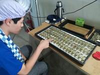 窓枠部品の組み立ての画像